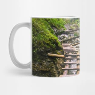 National Park Mug